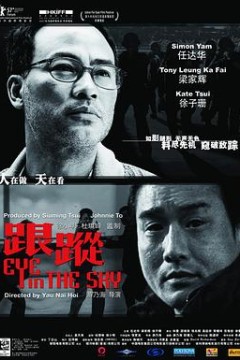 跟踪国语