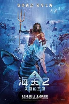 海王2：失落的王国国语