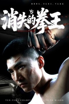 消失的拳王