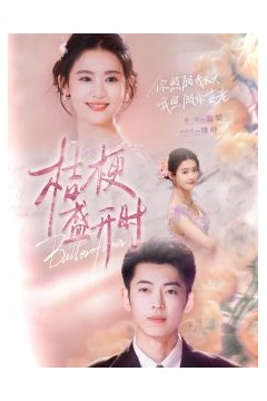 桔梗盛开时