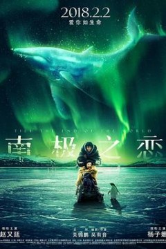 南极之恋