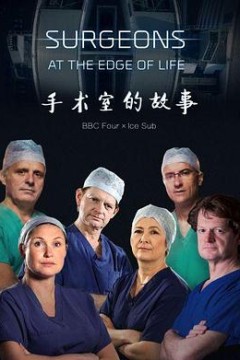 外科医生：生命边缘第一季