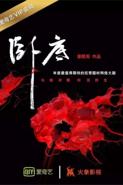 卧底第一季2017