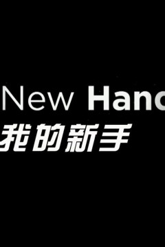 我的新手