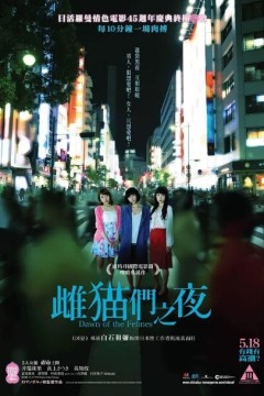 雌猫们2017