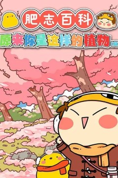 肥志百科
