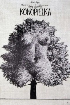 烈焰焚树