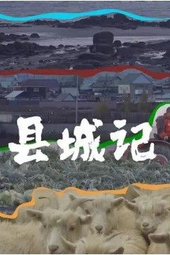 县城记