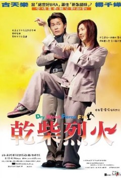 干柴烈火2002