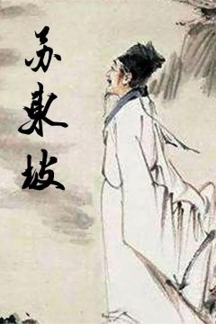 苏东坡2017