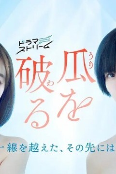 瓜熟蒂落2024