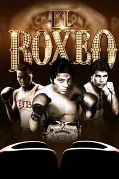埃尔博克西奥