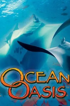 海洋绿洲2000