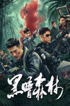 黑暗森林2024