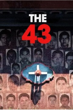 失踪的43人