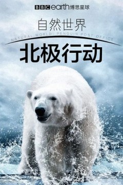 北极行动