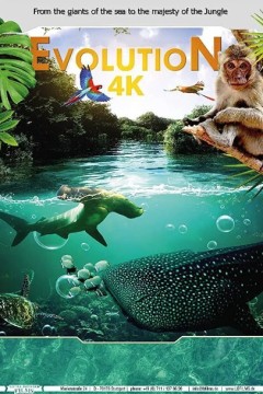 进化4K