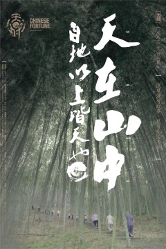 天时·戊戌志