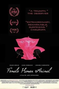 女性人类动物