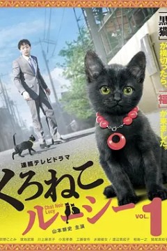 黑猫露西