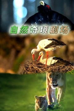 自然奇境剧场