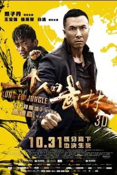 一个人的武林2014
