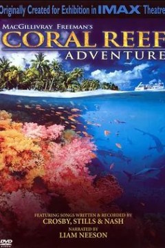 珊瑚礁2003
