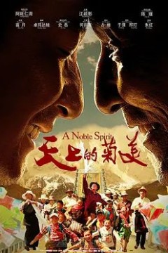 天上的菊美2014