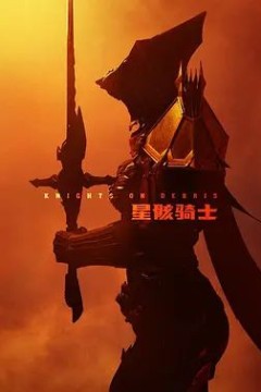 星骸骑士