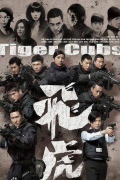 飞虎2012