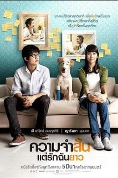 爱久弥新2009