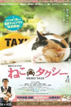 猫咪出租