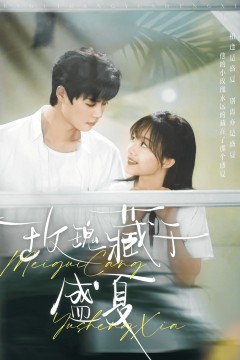 玫瑰藏于盛夏