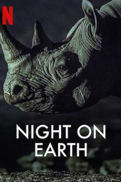 地球的夜晚