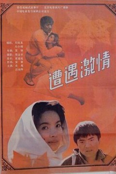 遭遇激情