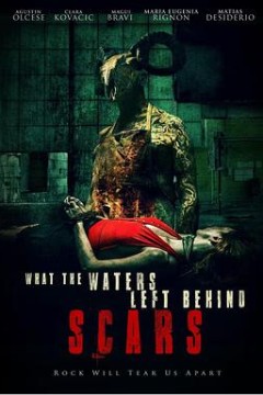 水退之后2伤痕