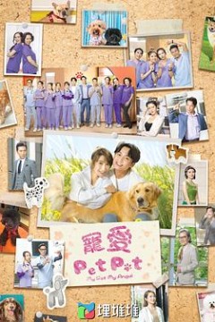 宠爱Pet Pet国语