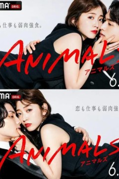 动物 ANIMALS