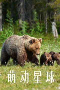 萌动星球