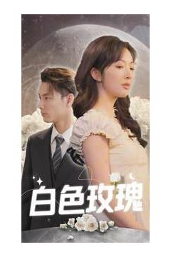 白色玫瑰