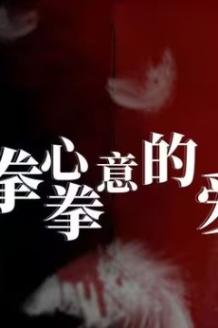 拳心拳意的爱