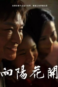 向阳花开2024