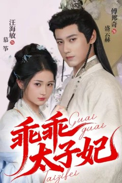 乖乖太子妃
