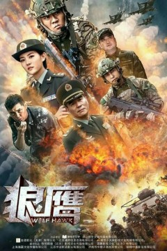 狼鹰2020
