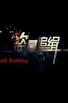盗墓追缉