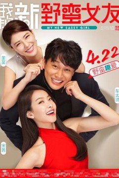 我的新野蛮女友(国语版)