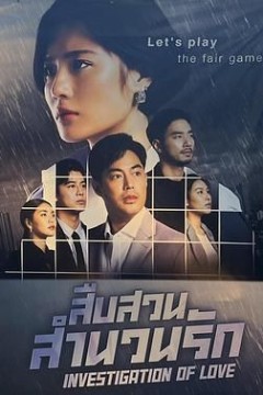婚恋调查2