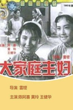 大家庭主妇