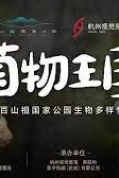 菌物王国