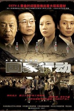 国家行动